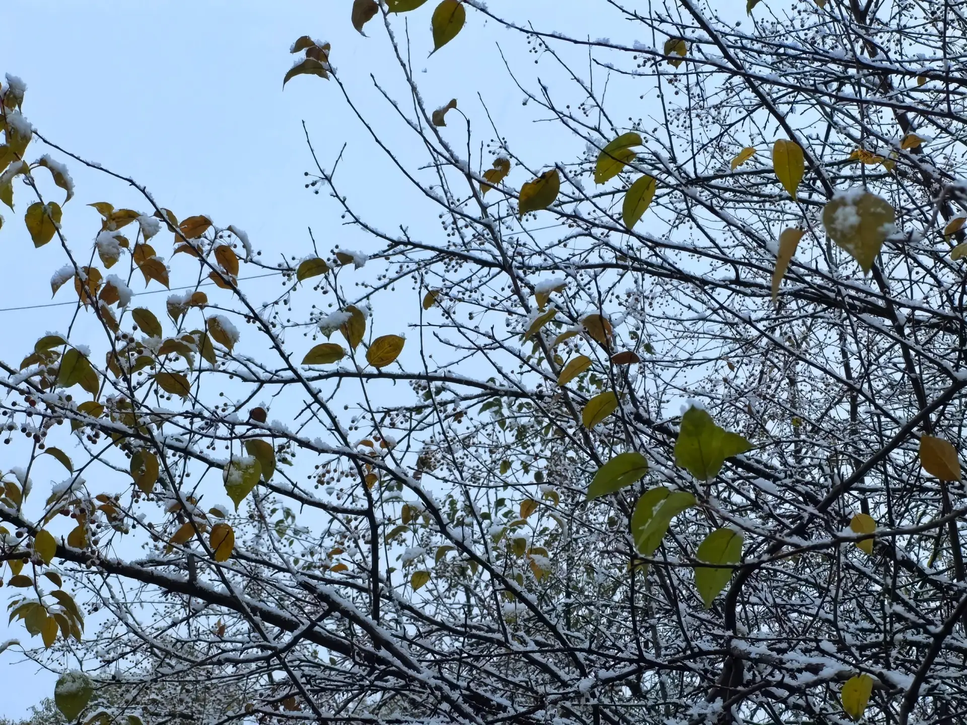 С первым днем снега❄️❄️❄️❄️❄️❄️