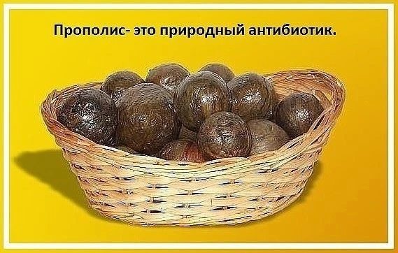 Панкреатит. Врач Елена Александровна Виноградова