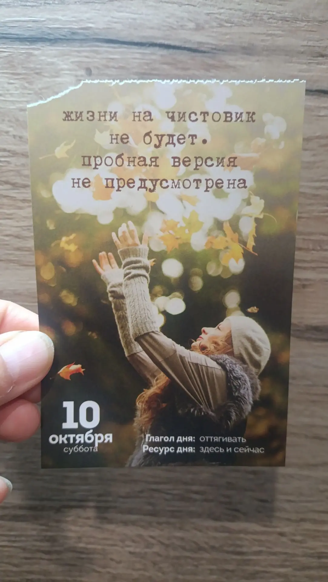 Полностью согласна!