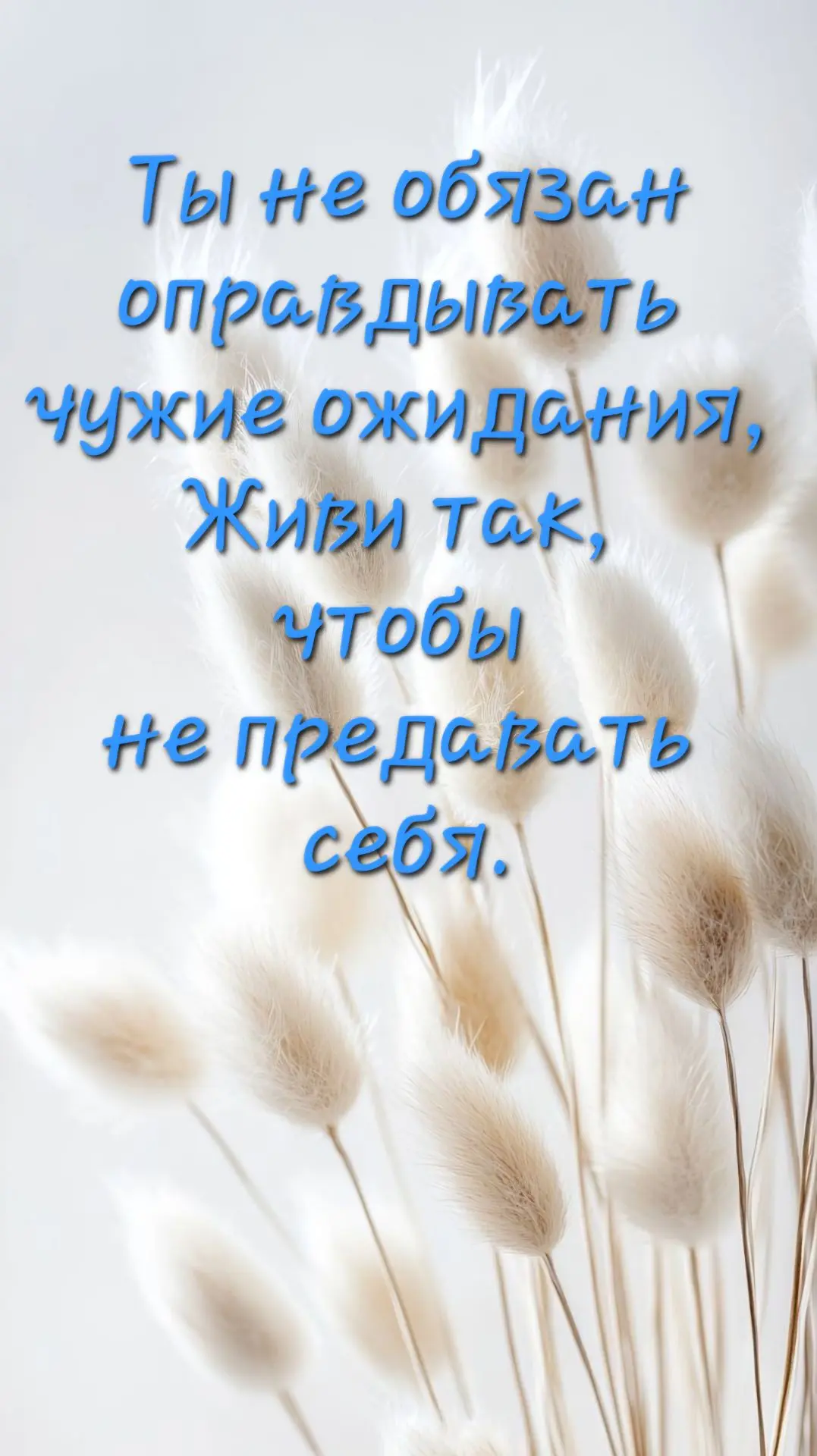 💫