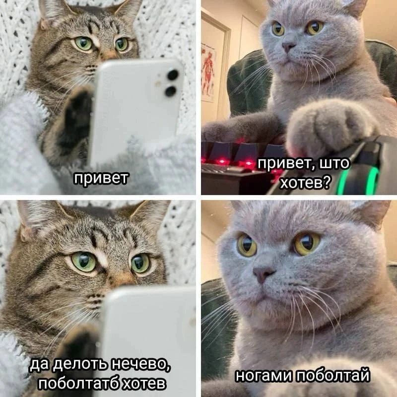 🤣