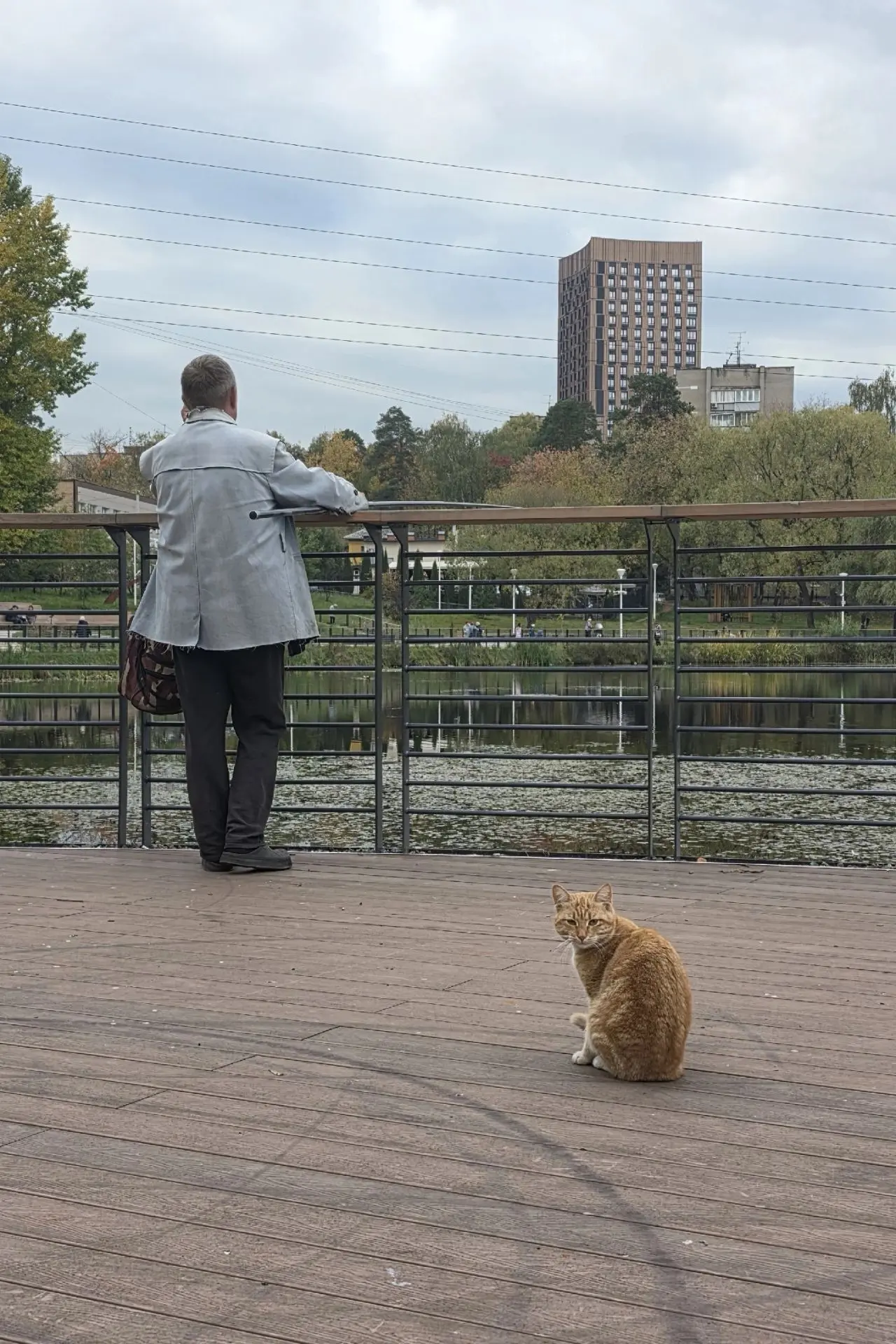 😼 Умный котик, сидит и ждёт улов...