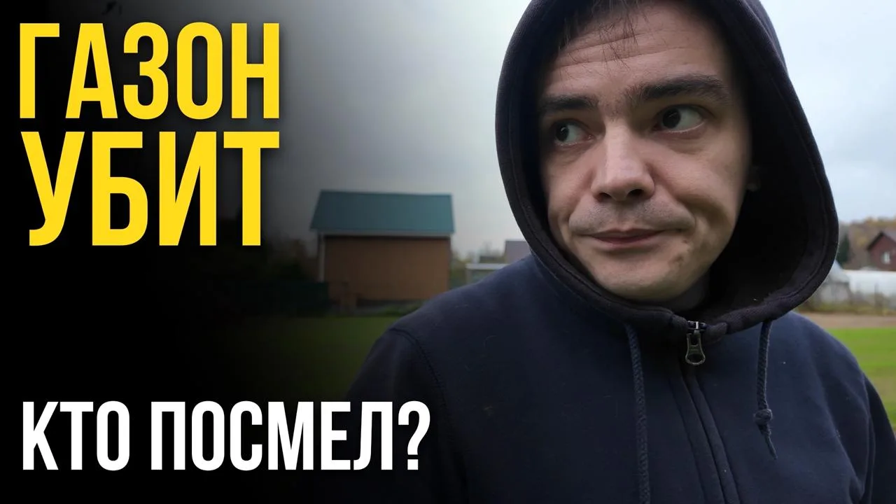 ИДЕАЛЬНЫЙ ГАЗОН НА ДАЧЕ УНИЧТОЖЕН?! 😱 Кто посмел и что произошло?