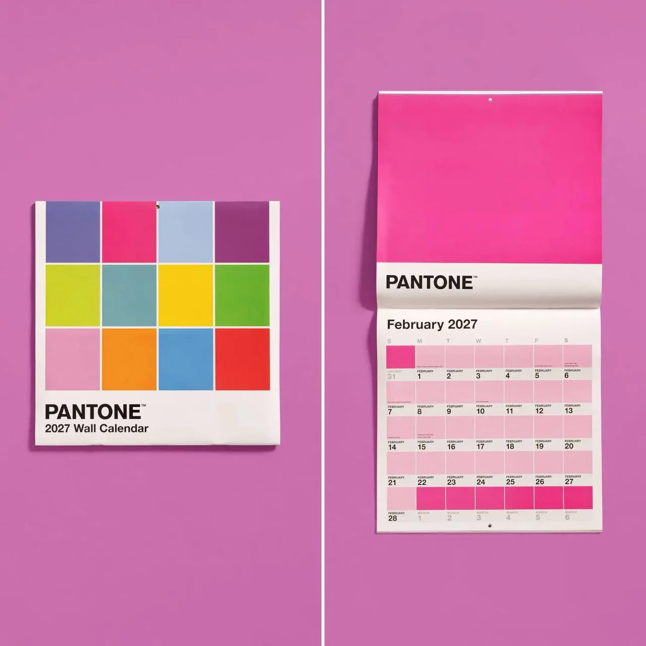 🎨Pantone решил, что одного цвета года уже недостаточно — теперь есть цвет каждого дня.