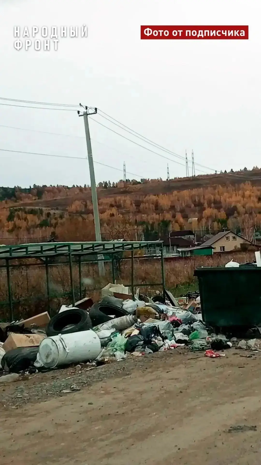 🚮🐻Жители Саяногорска жалуются на свалку, приманивающую медведей