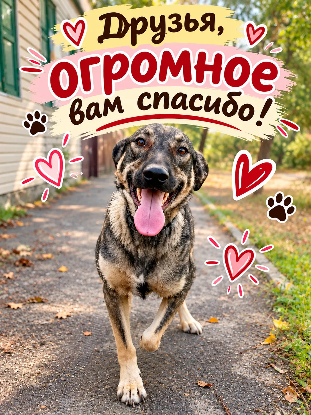 🎉 СПАСИБО ВСЕМ ОГРОМНОЕ! СБОР НА ОКТЯБРЬ ЗАКРЫТ!