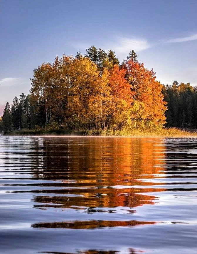 🍂 Что рисовать этой осенью? Подборка для вдохновения