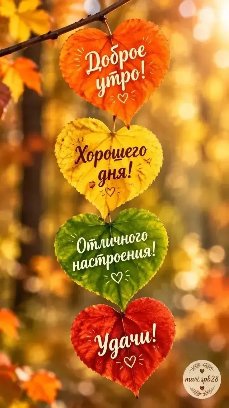 Всем доброе утро ☔️  Пусть сегодня и дождь за окном, но в душе будет солнышко ☀️