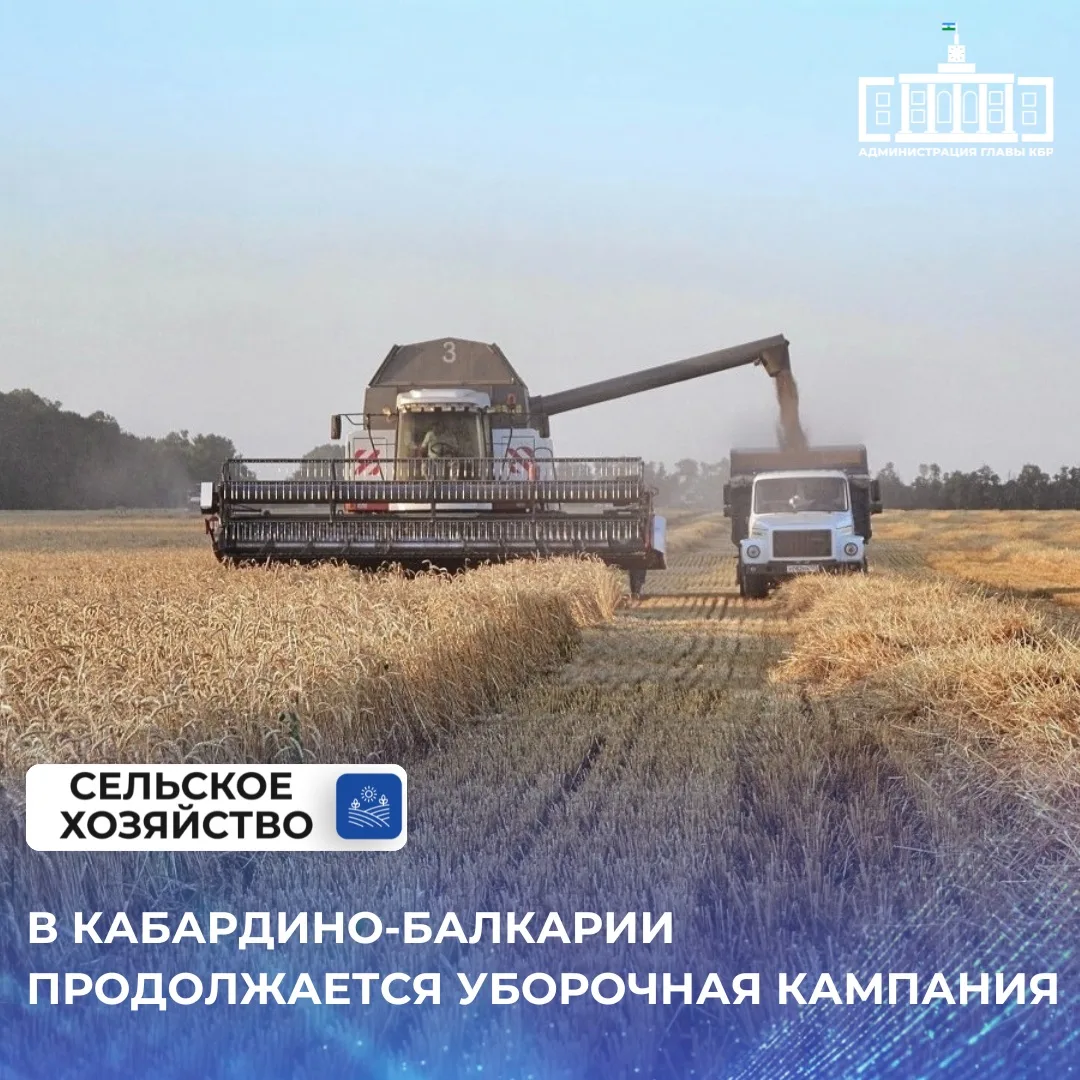 В Кабардино-Балкарии полным ходом продолжается уборка основной зерновой культуры – куку...