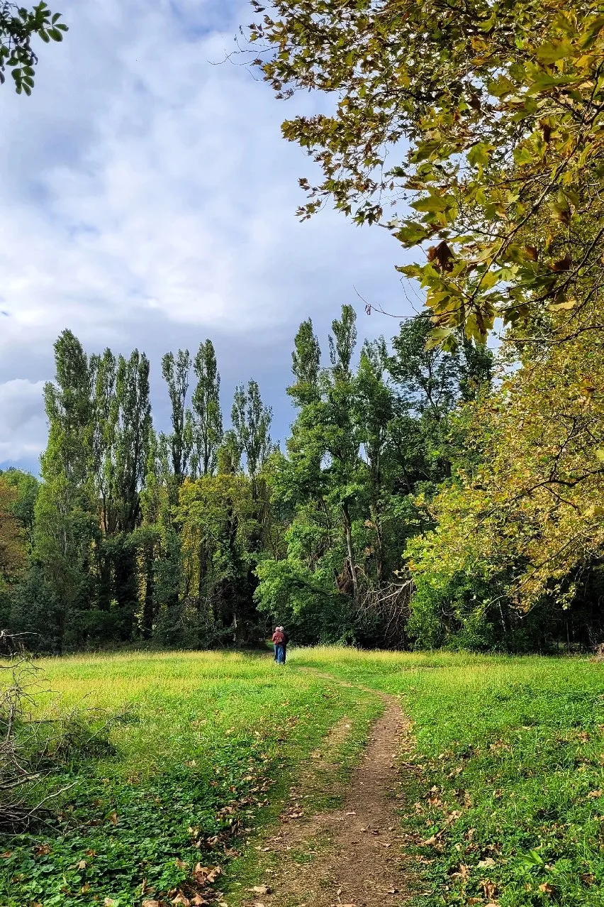 Архипо-Осиповка октябрь 2026 года 🍂 Фото: Виктория Попова