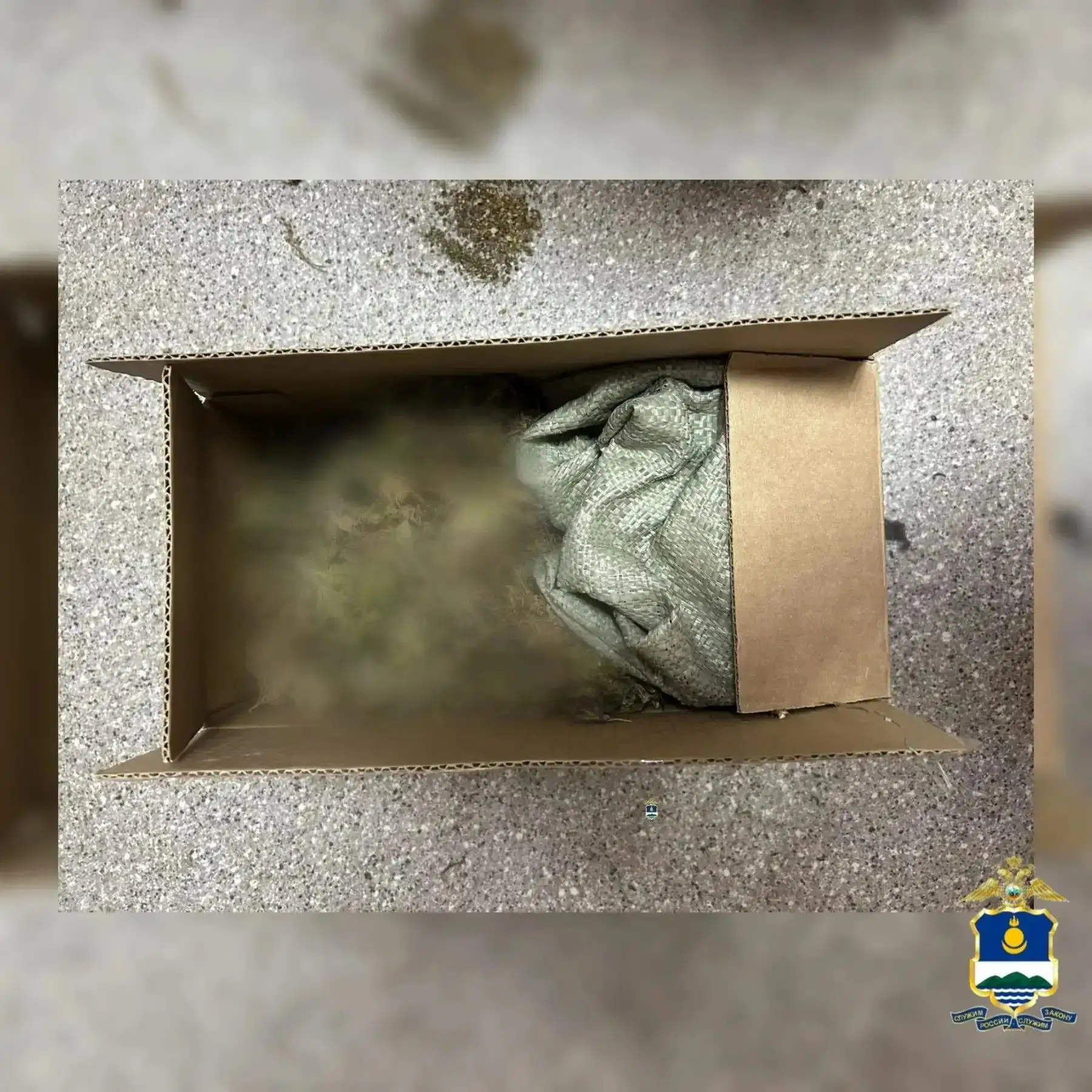 В Иволгинском районе задержали троих мужчин за сбор конопли
