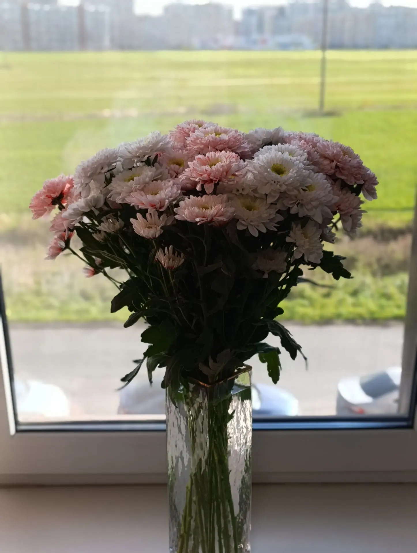 Моё любимое-цветы без повода 😍🥰