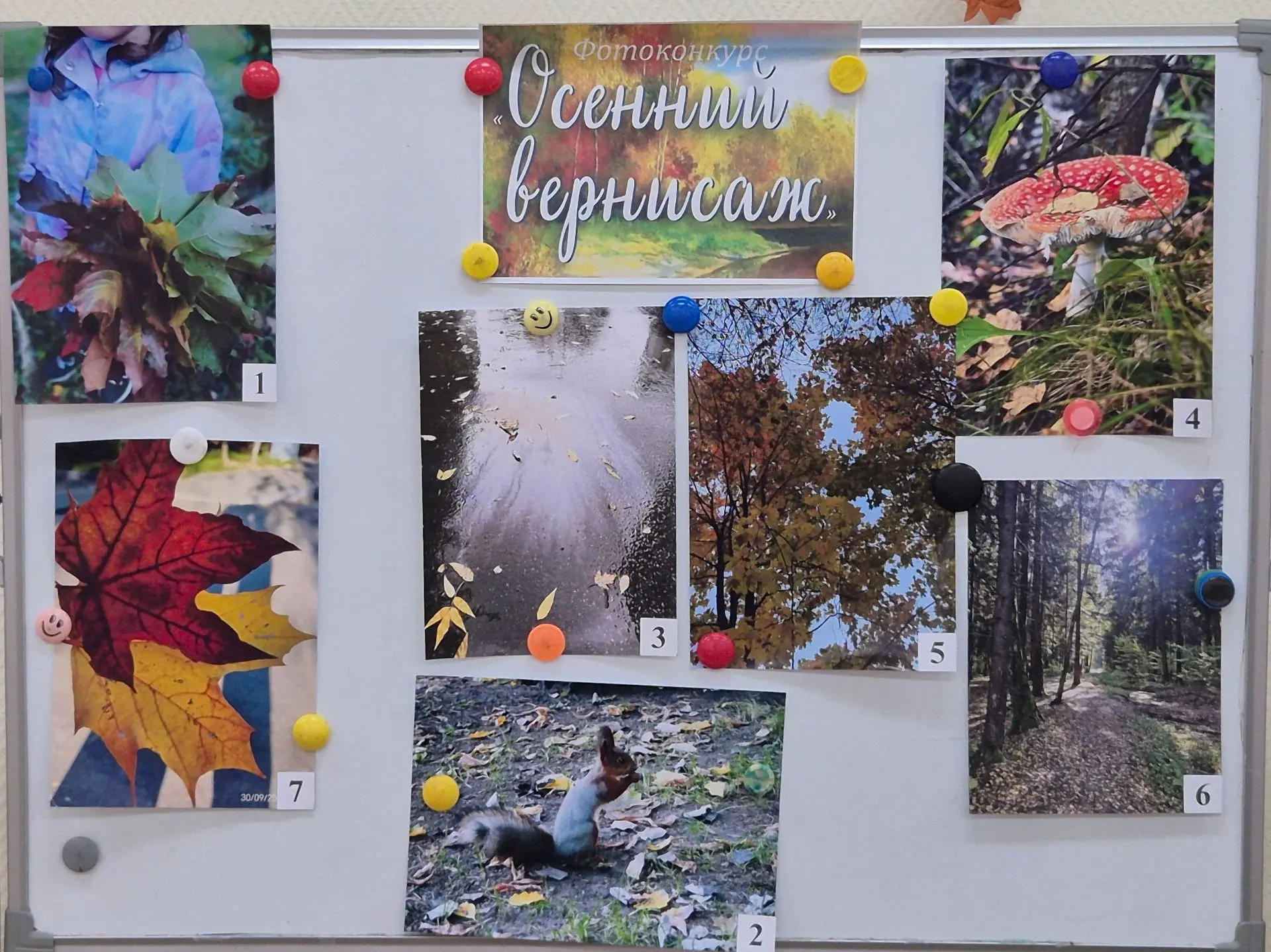 🍂 «Осенний вернисаж»: как наши дети видят золотую пору