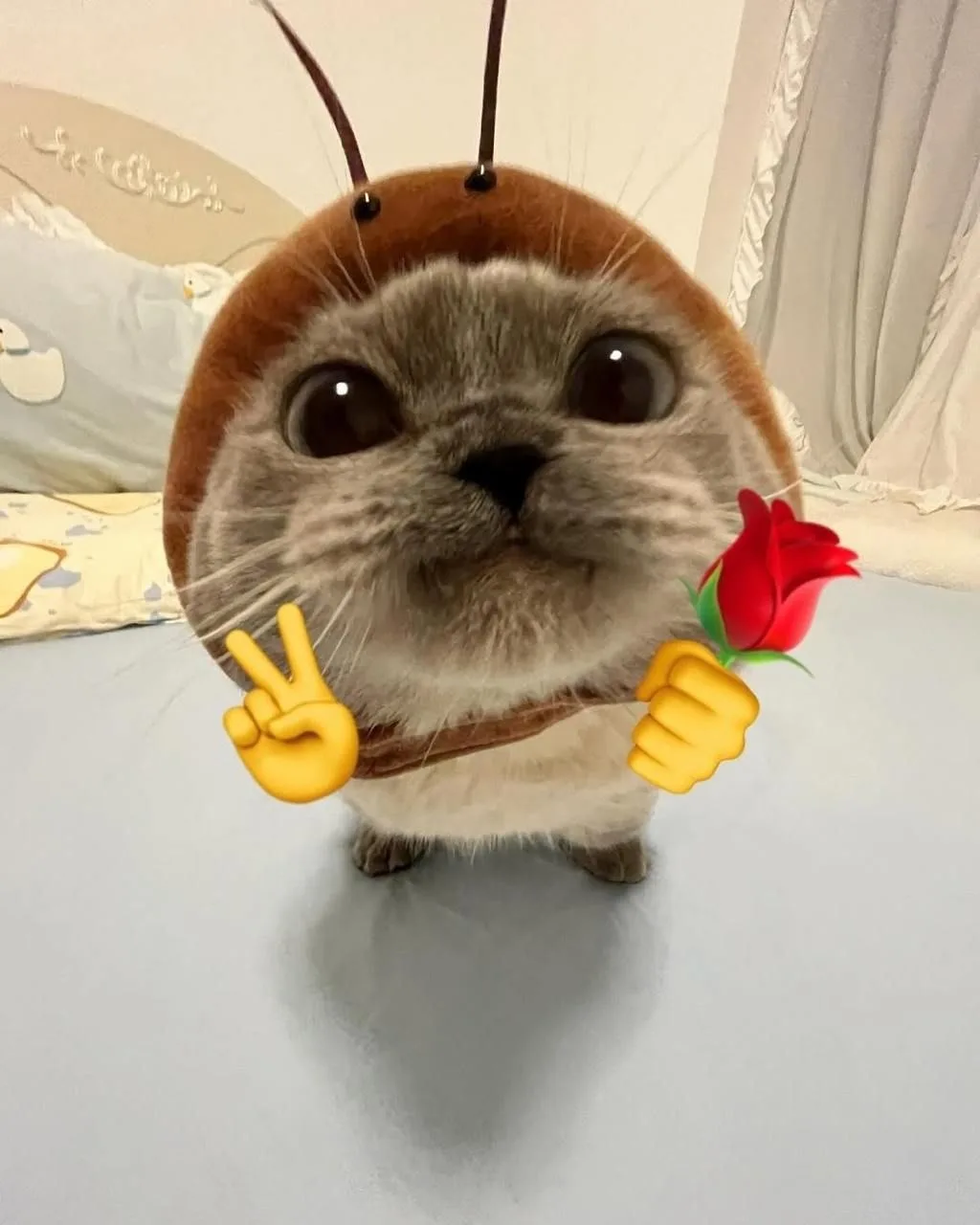 Самый прелестный жучок, которого я только видев 🌟