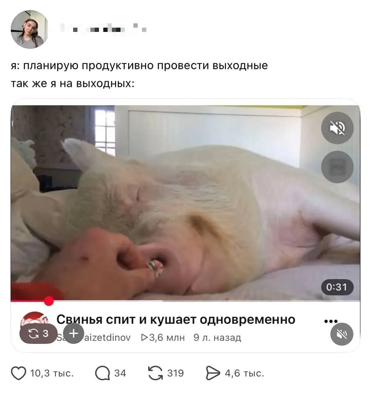 Милота/юмор/мем на ночь 🌙