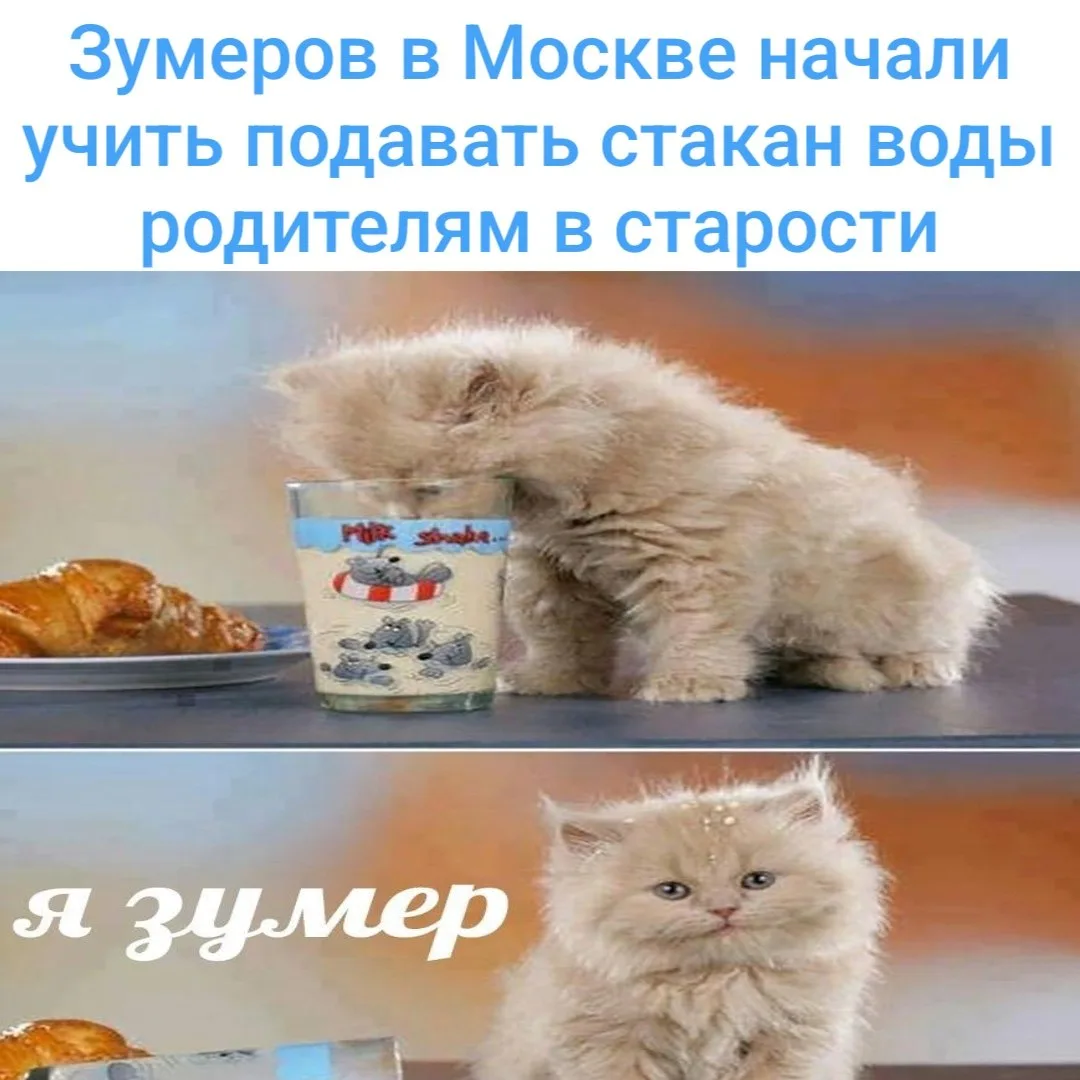 Запустили специальные курсы, где участникам нужно пронести стакан через полосу препятст...