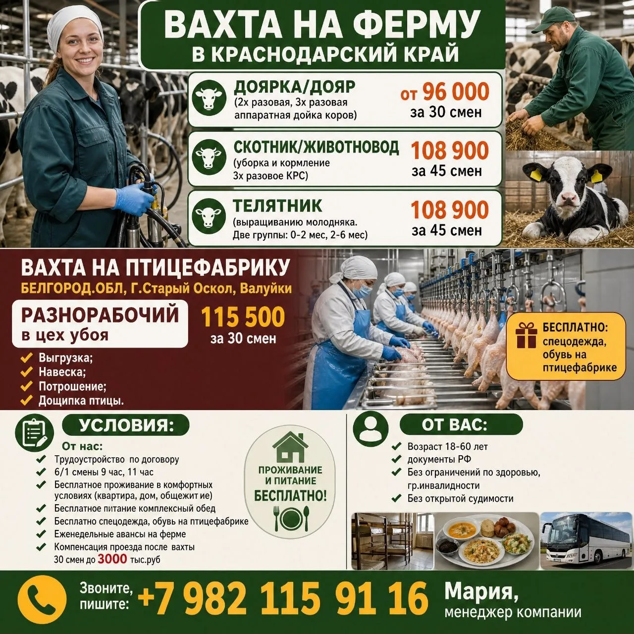 🔥ВАХТА НА ФЕРМУ В КРАСНОДАРСКИЙ КРАЙ