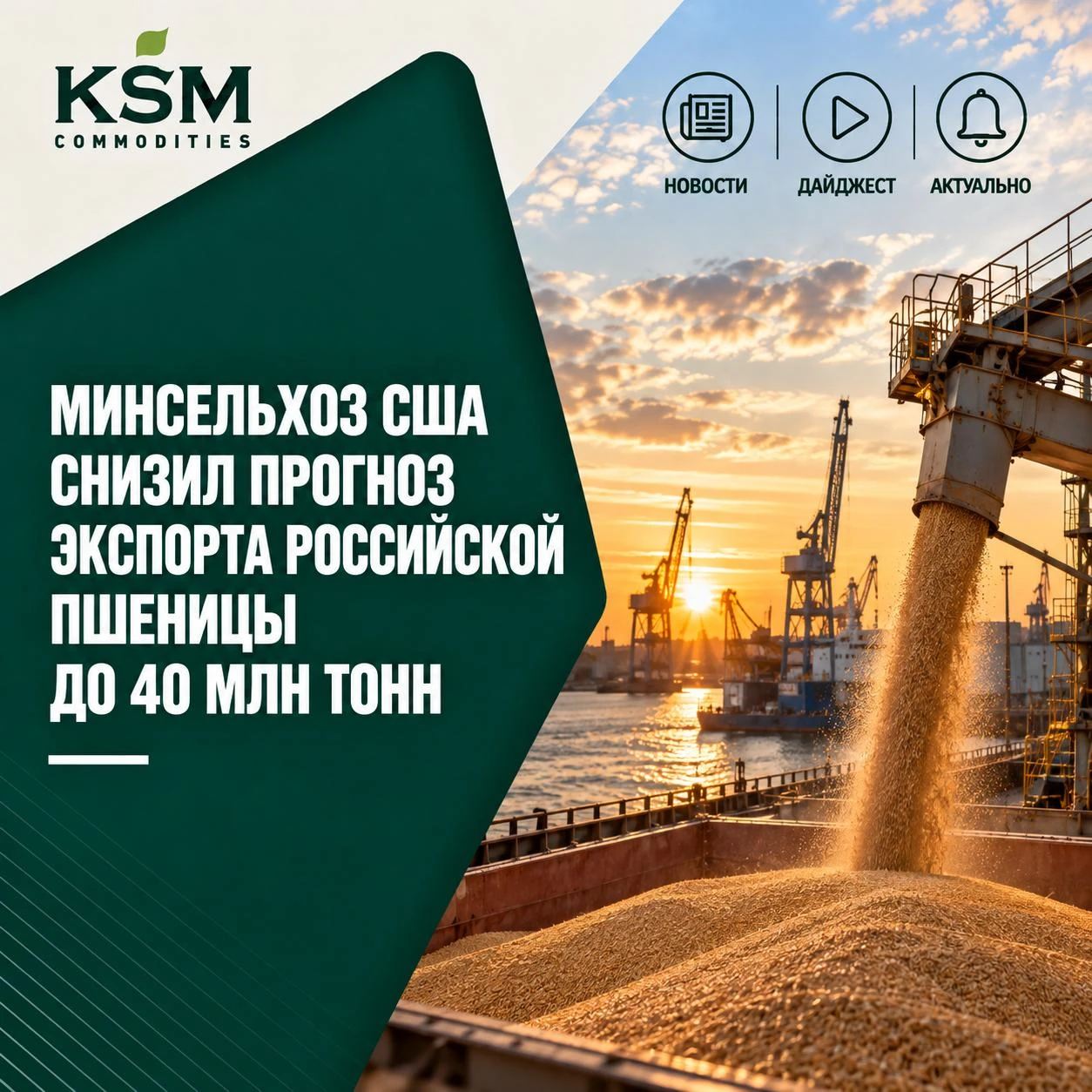 🌾 Минсельхоз США снизил прогноз экспорта российской пшеницы до 40 млн тонн