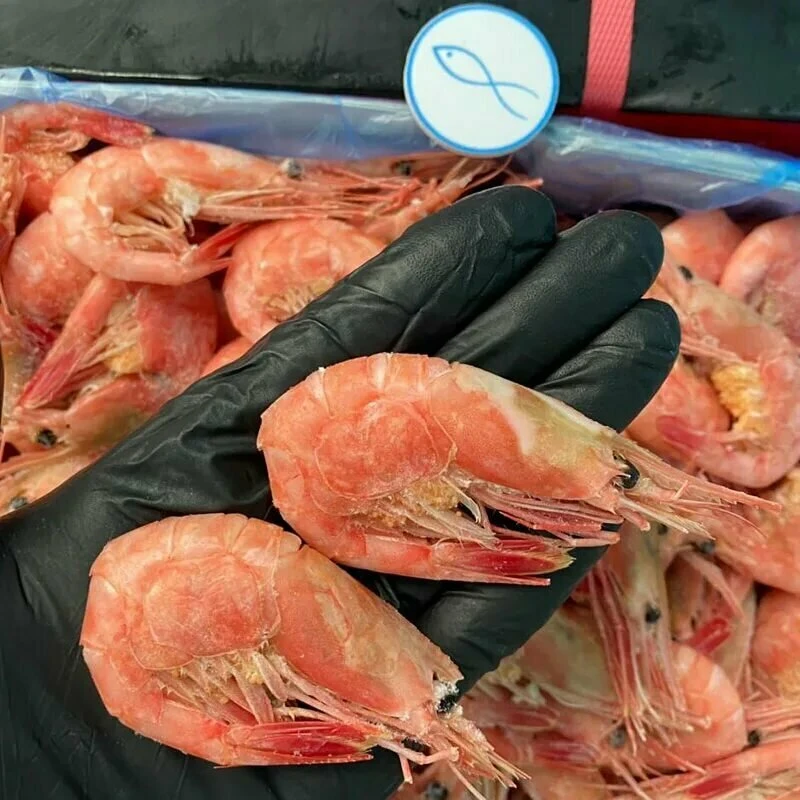 Морепродукты N1: вкусные рецепты, скидки и новинки