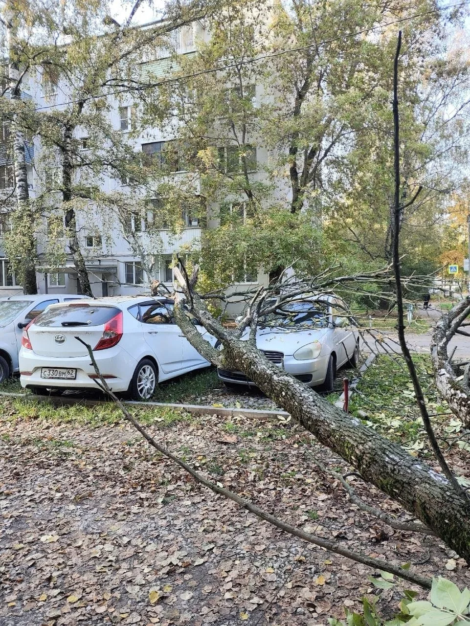 На улице Октябрьской упало дерево, пострадало несколько машин, там целая алея сухих дер...