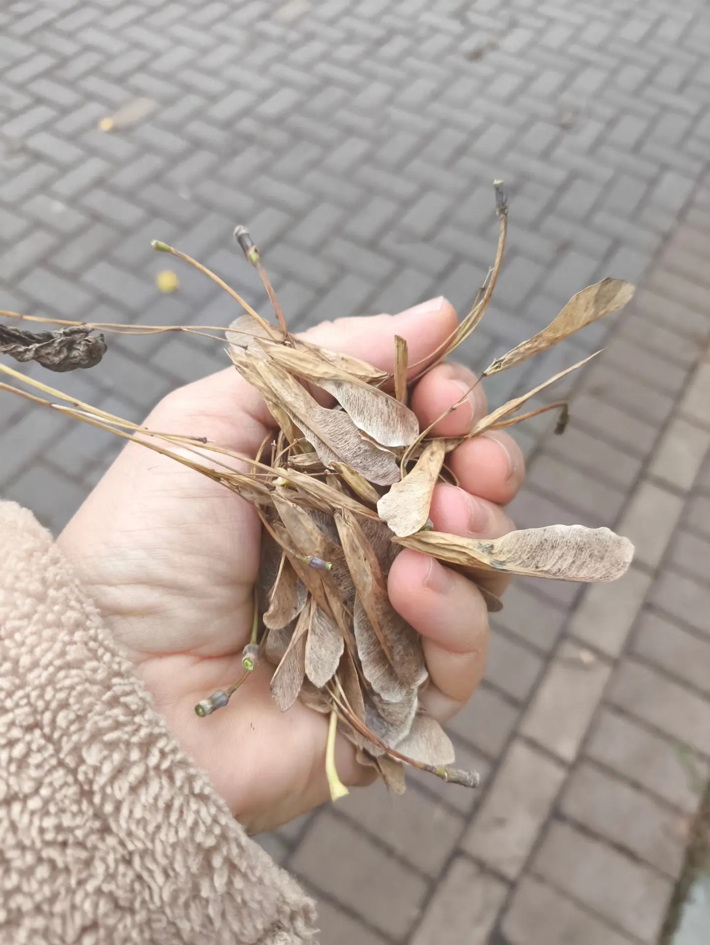 А вы помните такие вертолётики?🥰