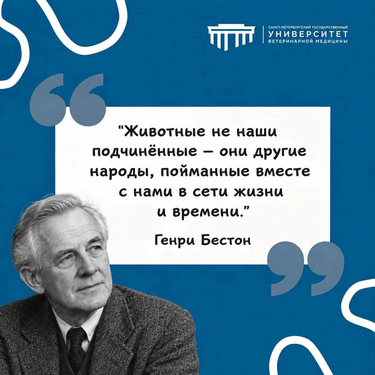 #фразадня #СПбГУВМ
