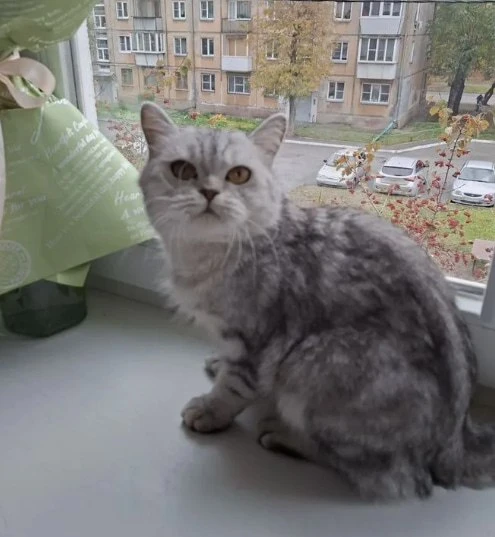 #Челябинск