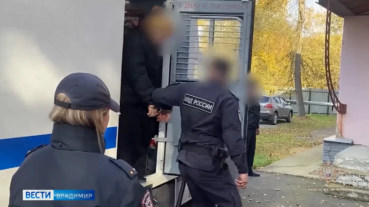 Появились подробности жестокого убийства девушки в Судогде