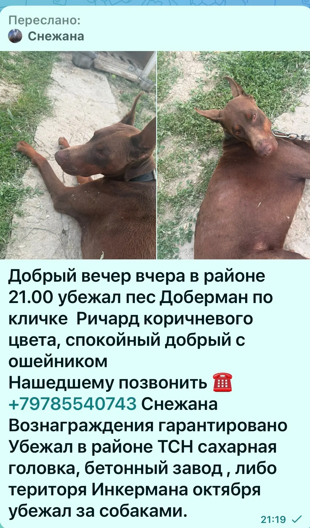Автор поста https://vk.ru/id71017343