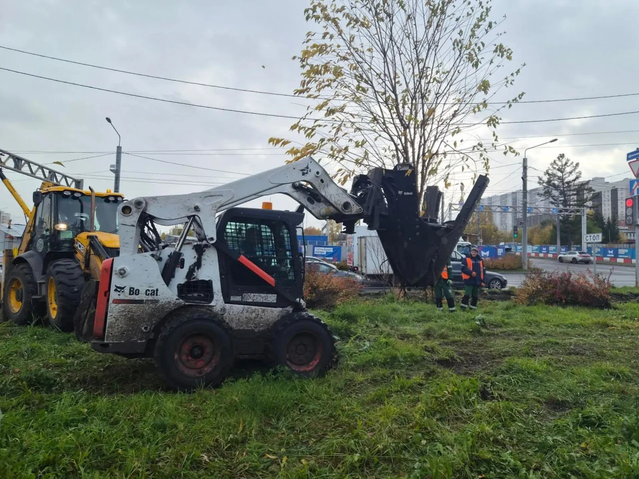 🌲 В Красноярске 35 деревьев и 250 кустарников «переедут» из-за строительства метро