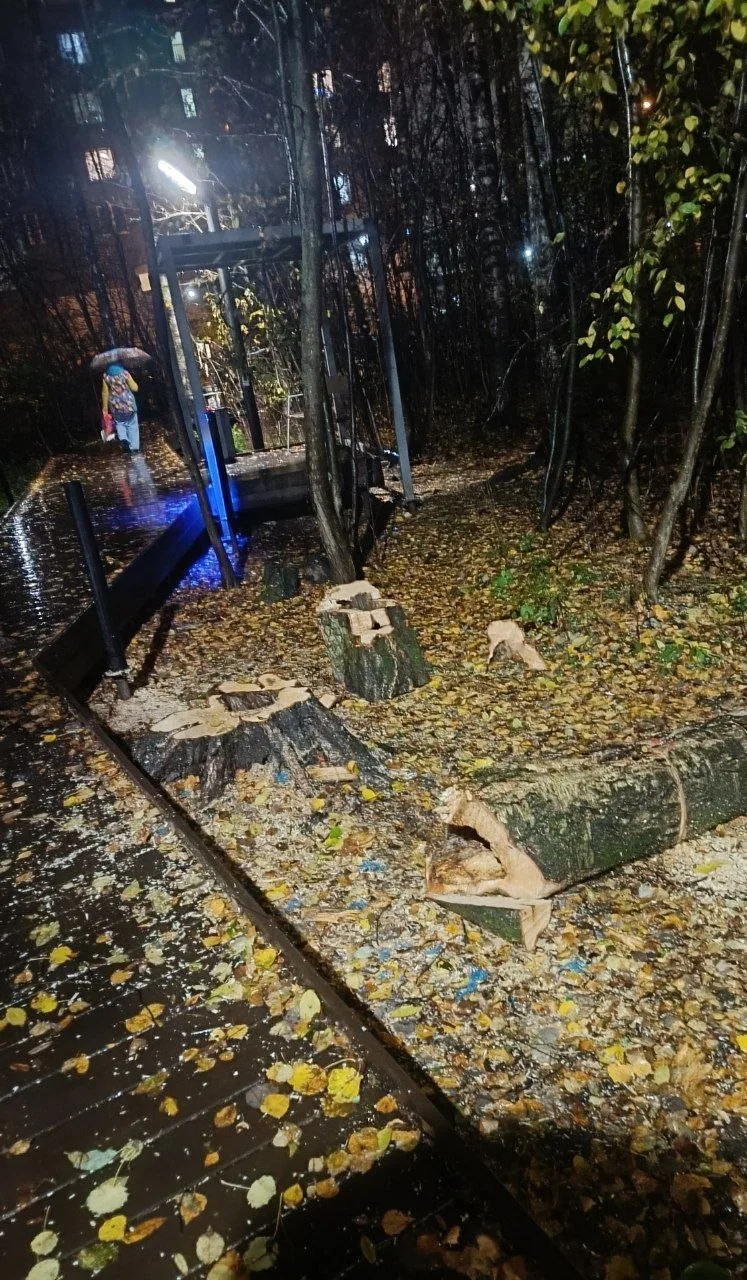 То чувство, когда в Кудрово пришел погулять в "парк":