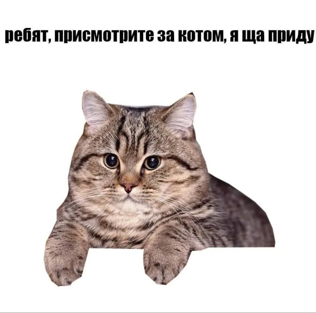 Пристально следите, он может свалить