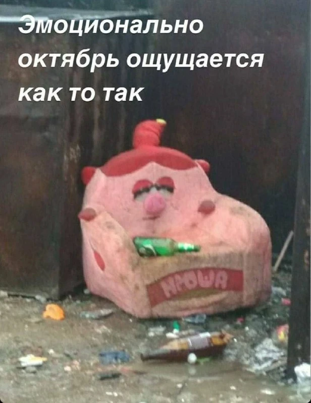 🤌мы?