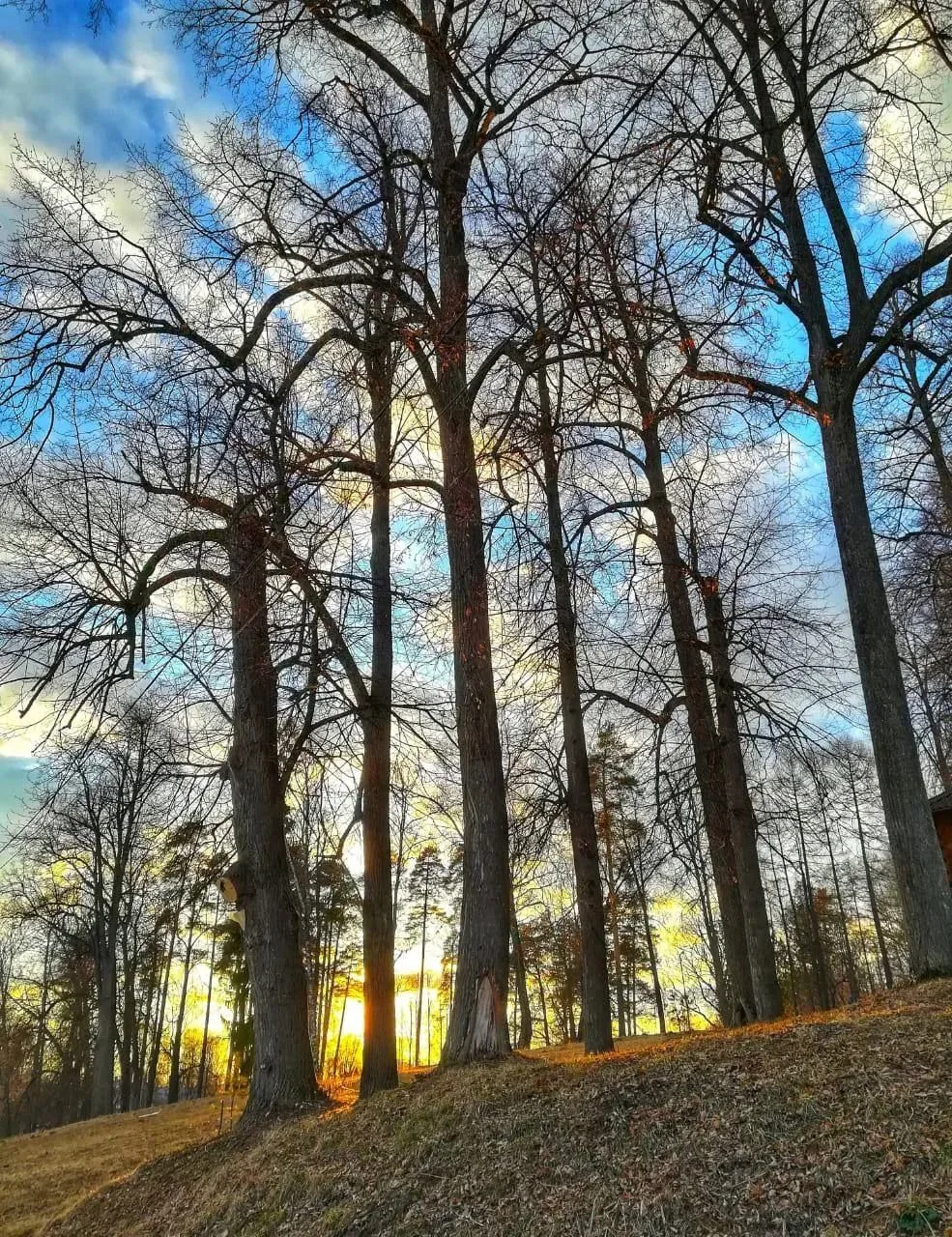 Доброго утра и хорошего настроения🍂 🤗