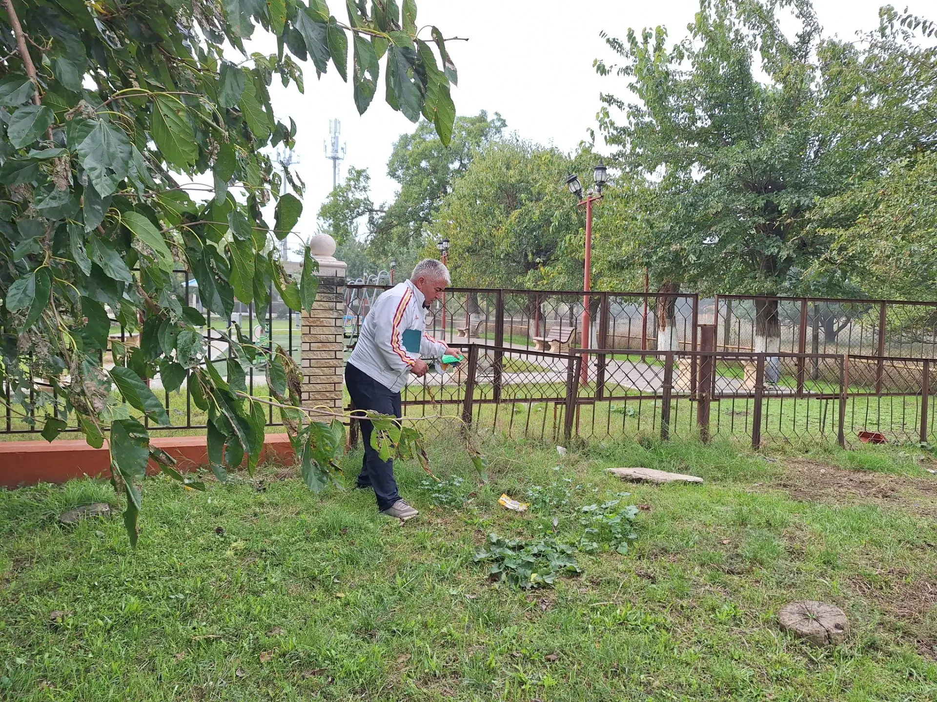 В МКОУ «Кульзебская СОШ» в рамках республиканской акции «Сад памяти» состоялся  общешко...