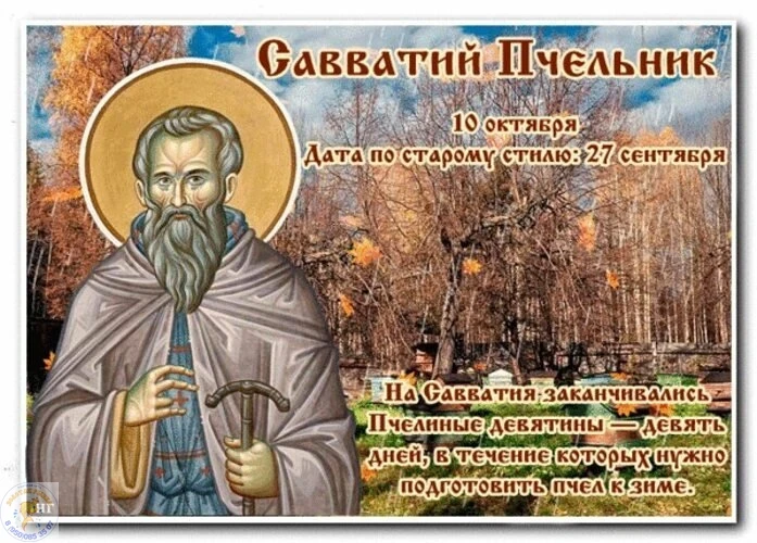 🎉 10 октября — Савватий Пчельник! 🎉