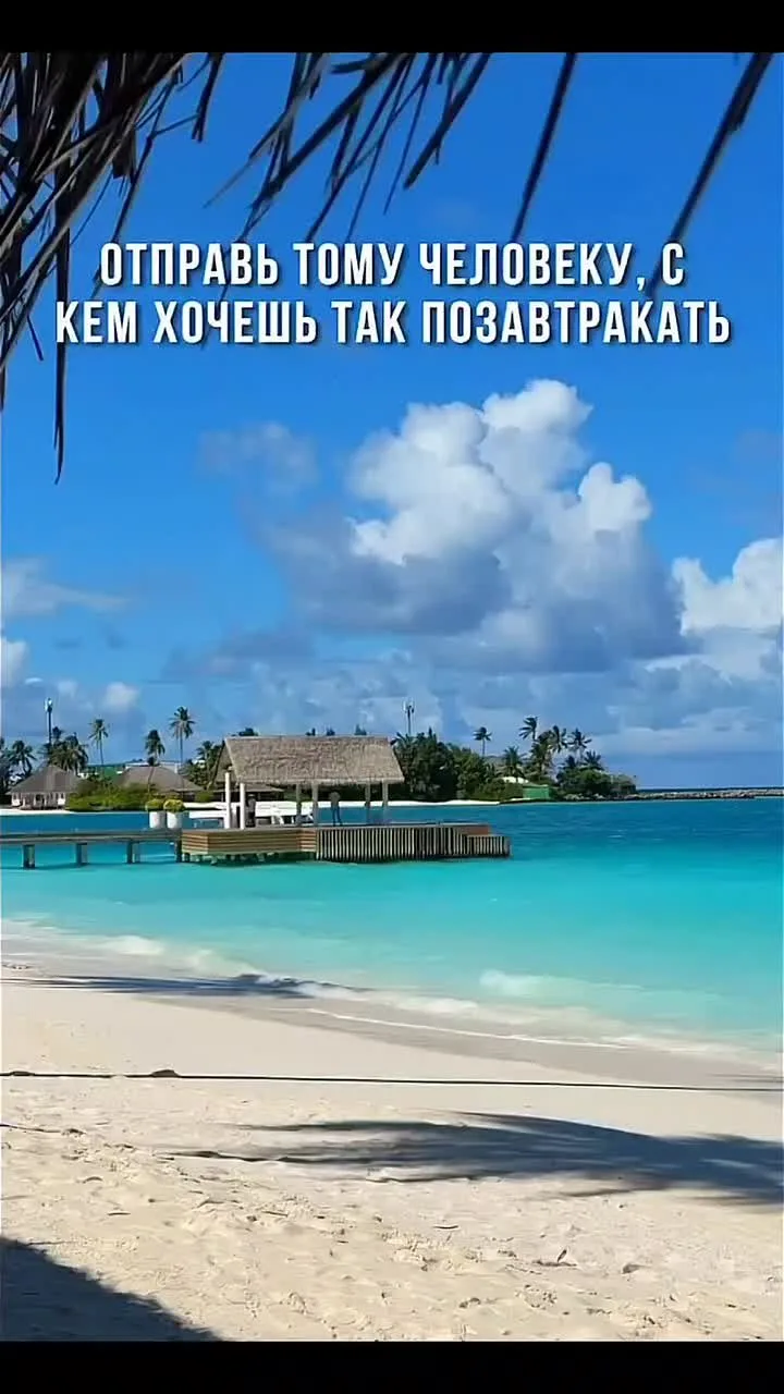 Видео: https://vk.ru/clip-59717399_456241020