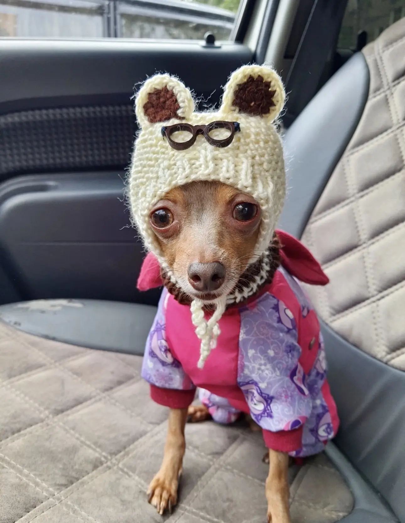 🐾🫣🙃