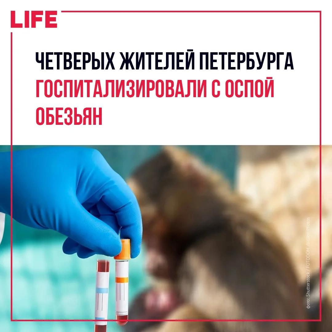 В Санкт-Петербурге четырёх человек госпитализировали с оспой обезьян. По данным SHOT, д...
