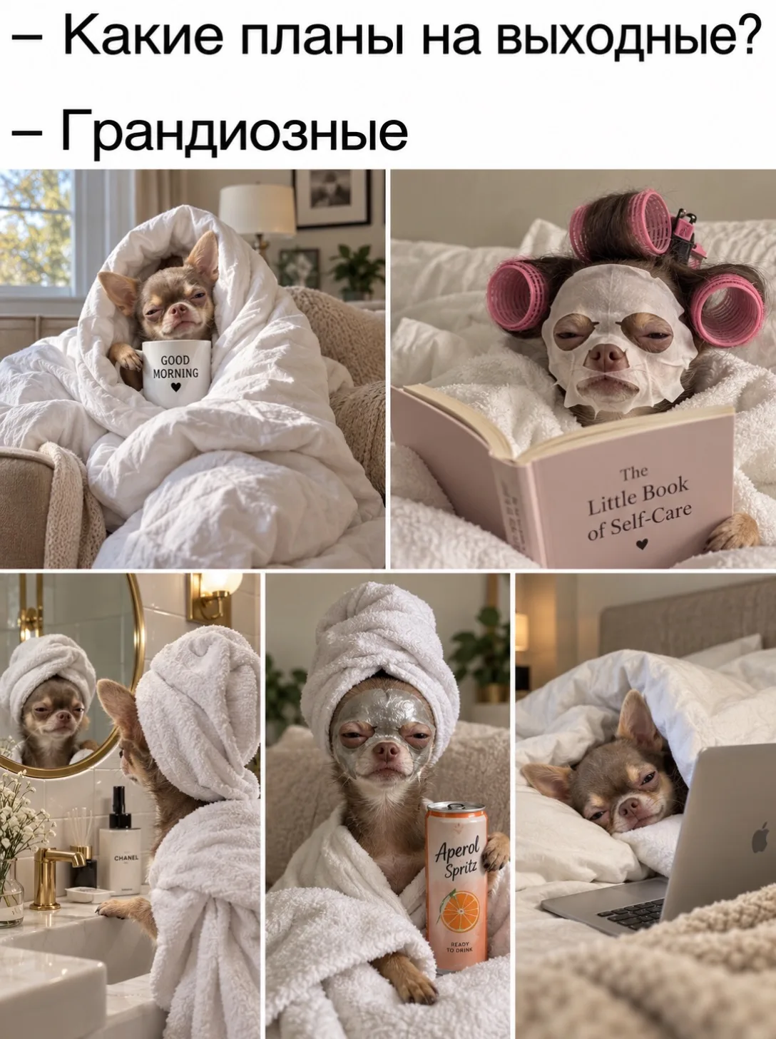 Доброе утро, девочки! Хороших выходных!