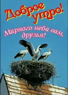 Утречко доброе,                                                          Мелиораторы!  ...