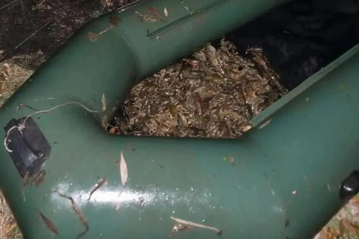 В Татарстане поймали браконьеров. которые выловили раков на 350 тыс. рублей