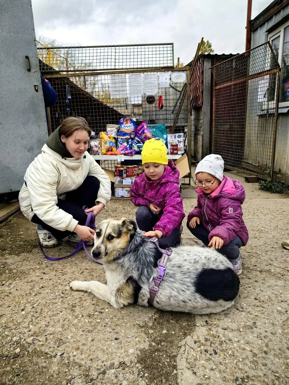 🥰 Дошколята посетили приют для собак «Бескудниково» — такие мероприятия входят в проце...