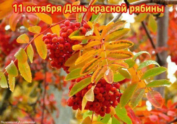 Женские открытки💝