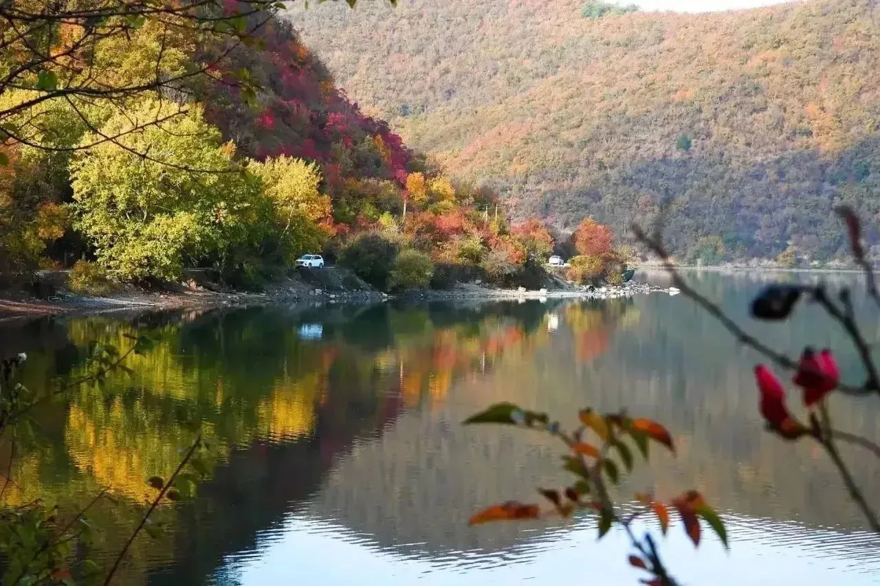 🍂 Осенняя сказка на озере Абрау 💛