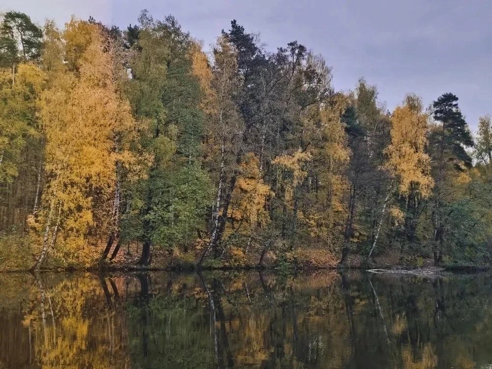 Очень красивая осень 🍂