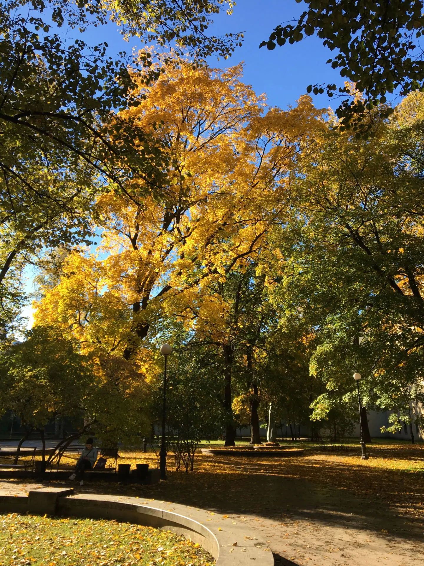 🍁🧡 These golden days in Saint Petersburg! What a beauty!
