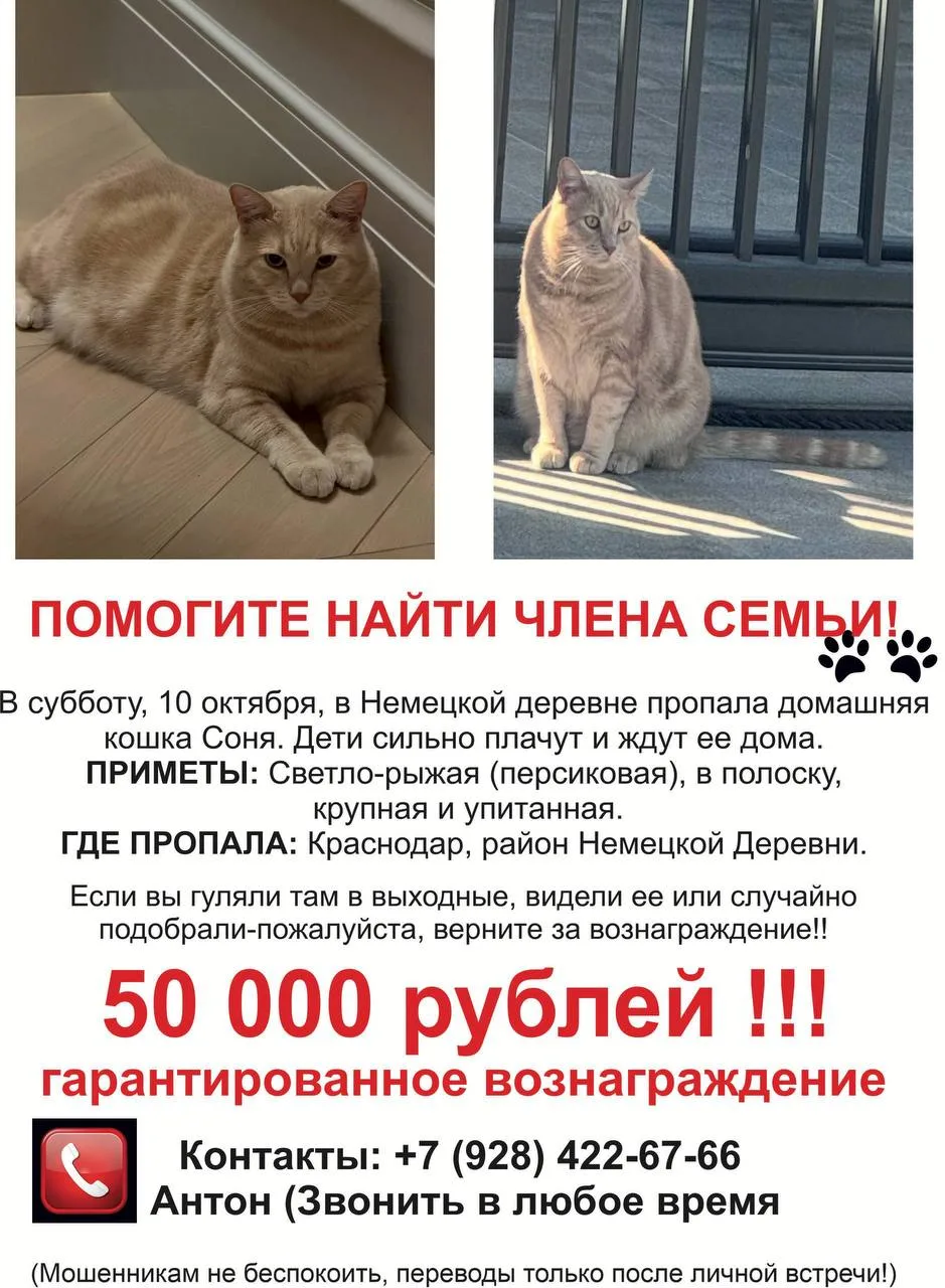 🚨 ПОМОГИТЕ НАЙТИ ЧЛЕНА СЕМЬИ! ВОЗНАГРАЖДЕНИЕ 50 000 ₽!