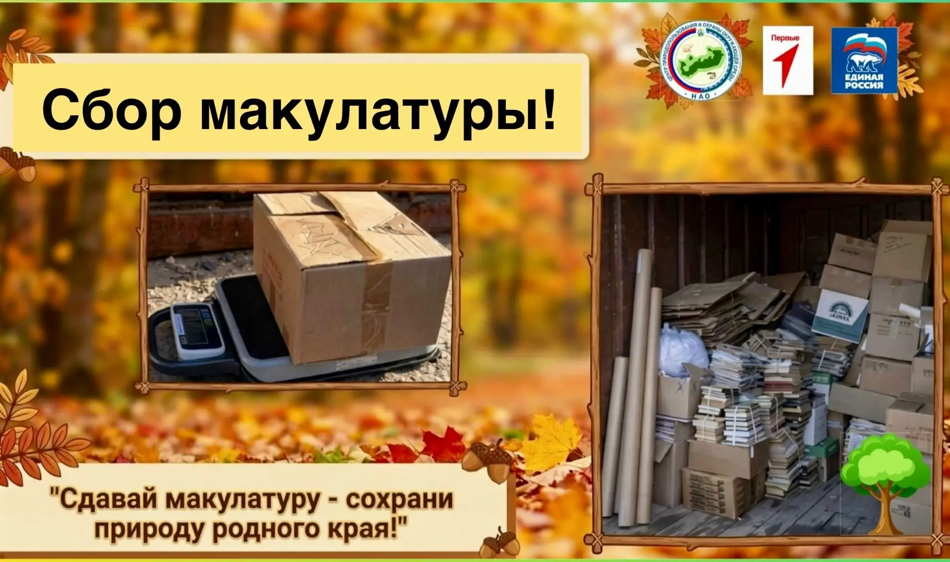 ‼️Колледж присоединяется к акции по сбору макулатуры «Сдавай макулатуру — сохрани приро...