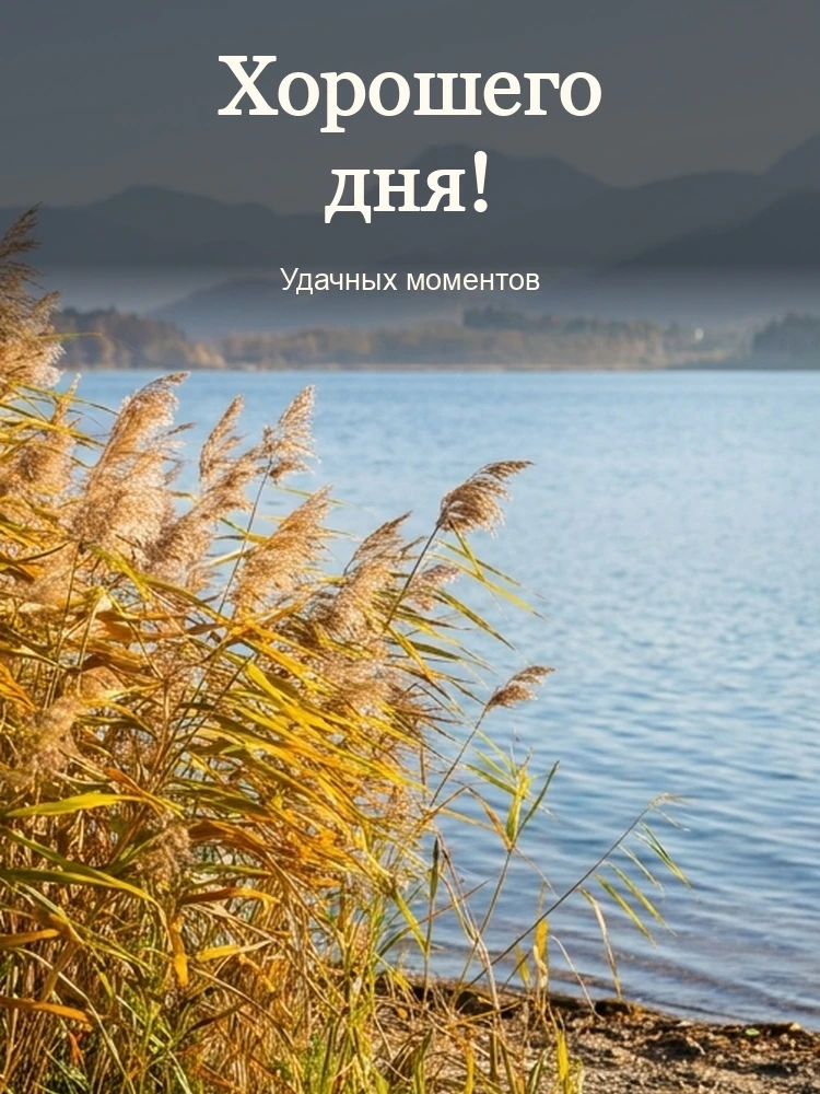Хорошего дня!